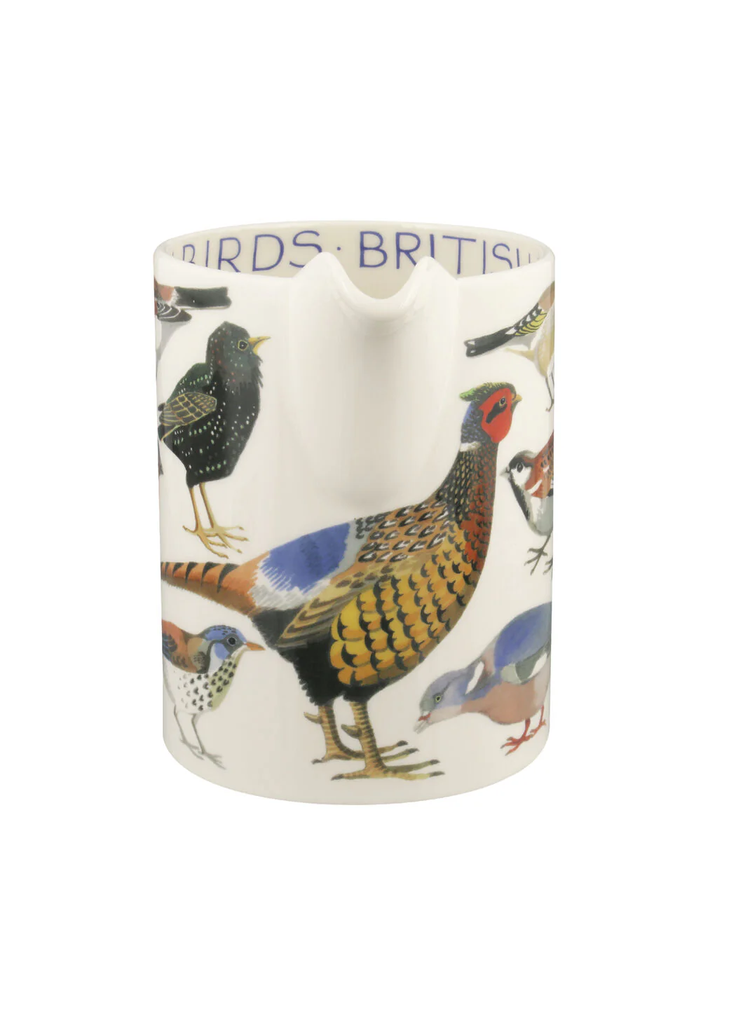 British Birds Large Straight Jug - Image 5