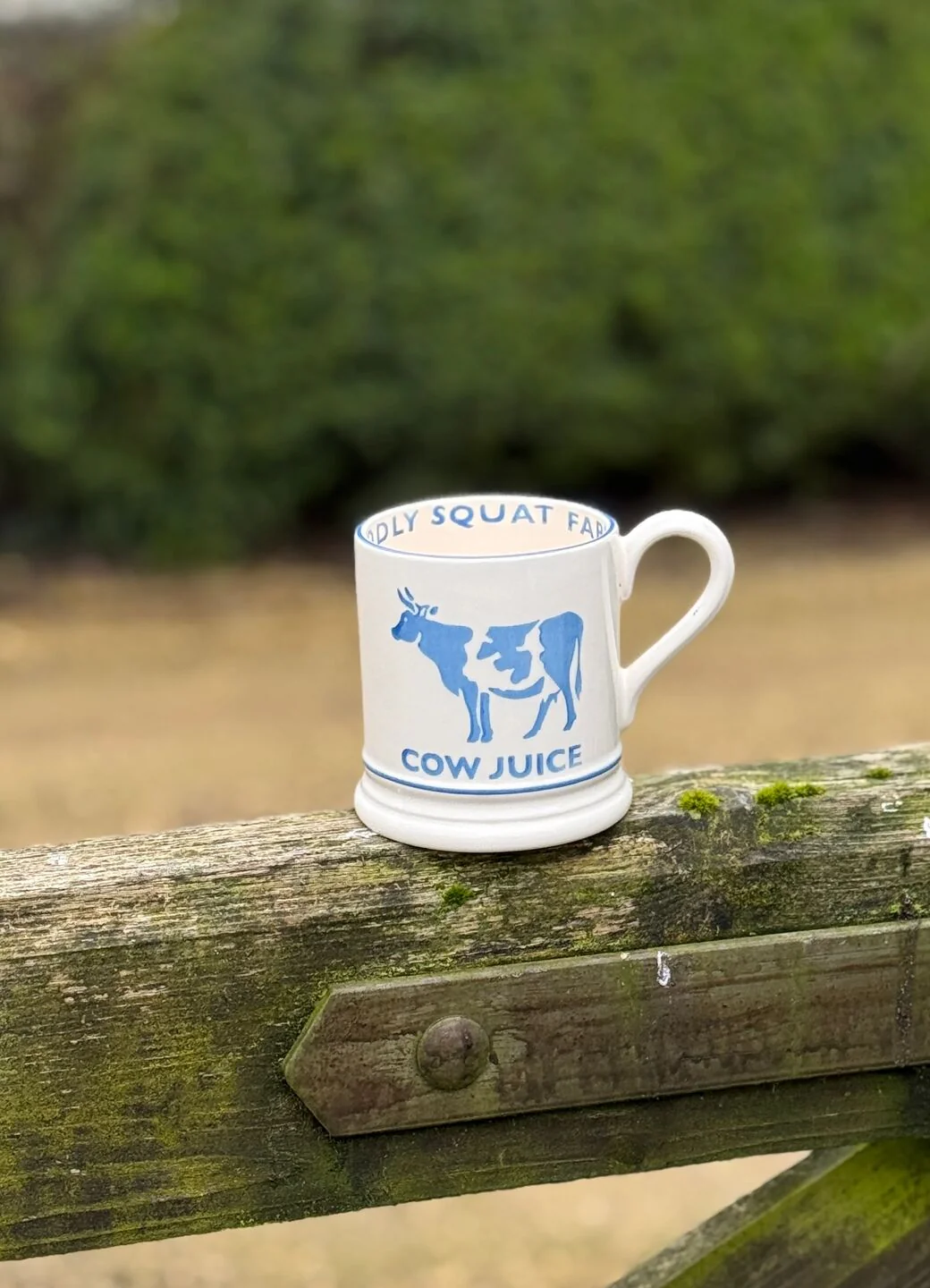 Diddly Squat Farm: Cow Juice 1/2 Pint Mug - Image 13
