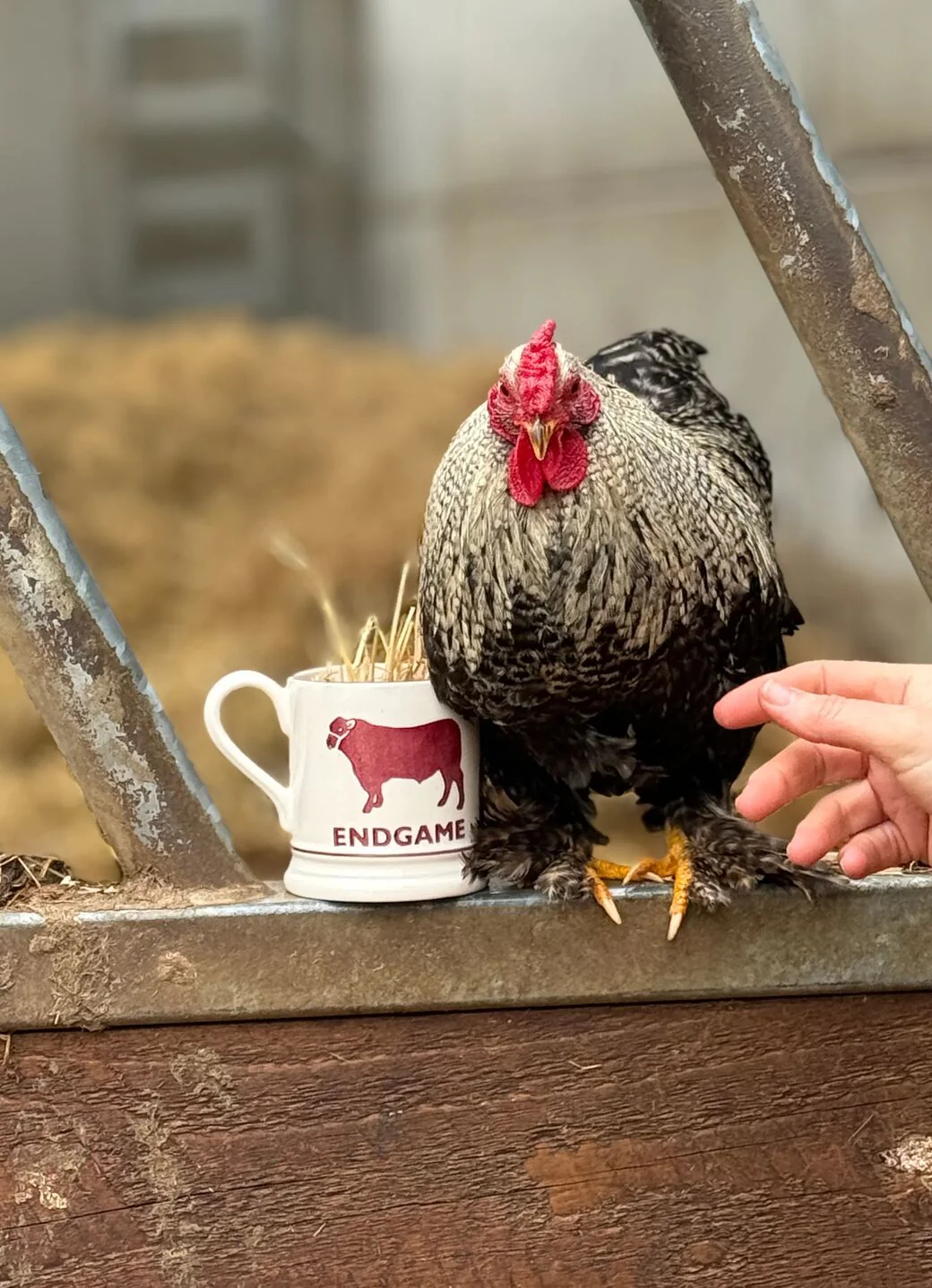 Diddly Squat Farm Endgame Bull 1/2 Pint Mug - Image 8