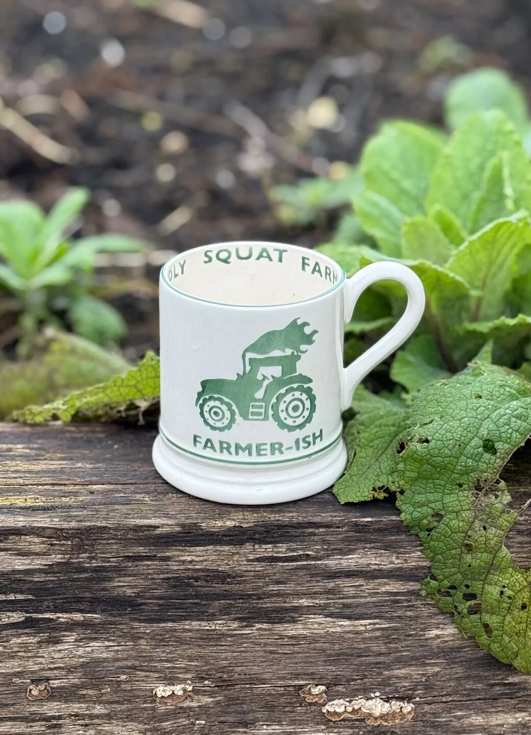 Diddly Squat Farm: Farmer-Ish 1/2 Pint Mug - Image 10