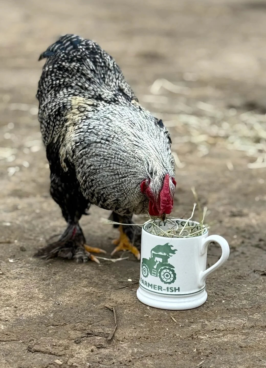 Diddly Squat Farm: Farmer-Ish 1/2 Pint Mug - Image 18