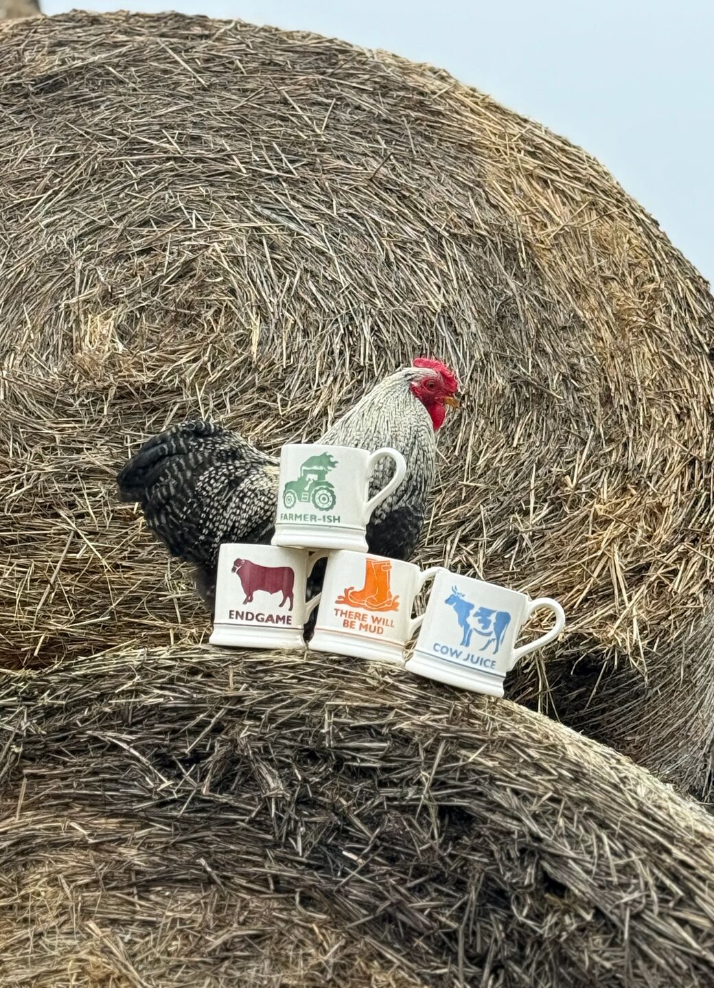 Diddly Squat Farm: Farmer-Ish 1/2 Pint Mug - Image 19