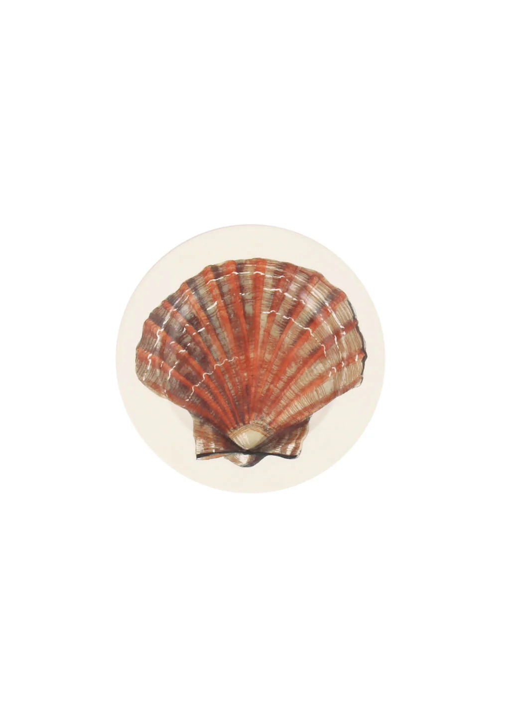 Scallop Shell Small Side Plate, 6.5 Inch - Image 2